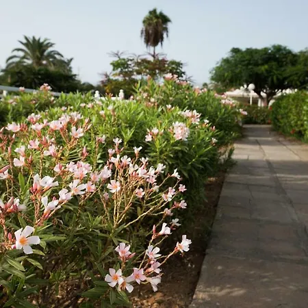 Maspalomas Los Melocotones, Maspalomas Golf * Maspalomas (Gran Canaria)